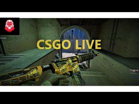 CSGO LIVE!!! ველოდებით CSGO NEW OPERATION ავდივარ 200 გამომწერზე #csgo  #rankup #csgolive