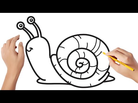 Vidéo: Comment Dessiner Un Escargot