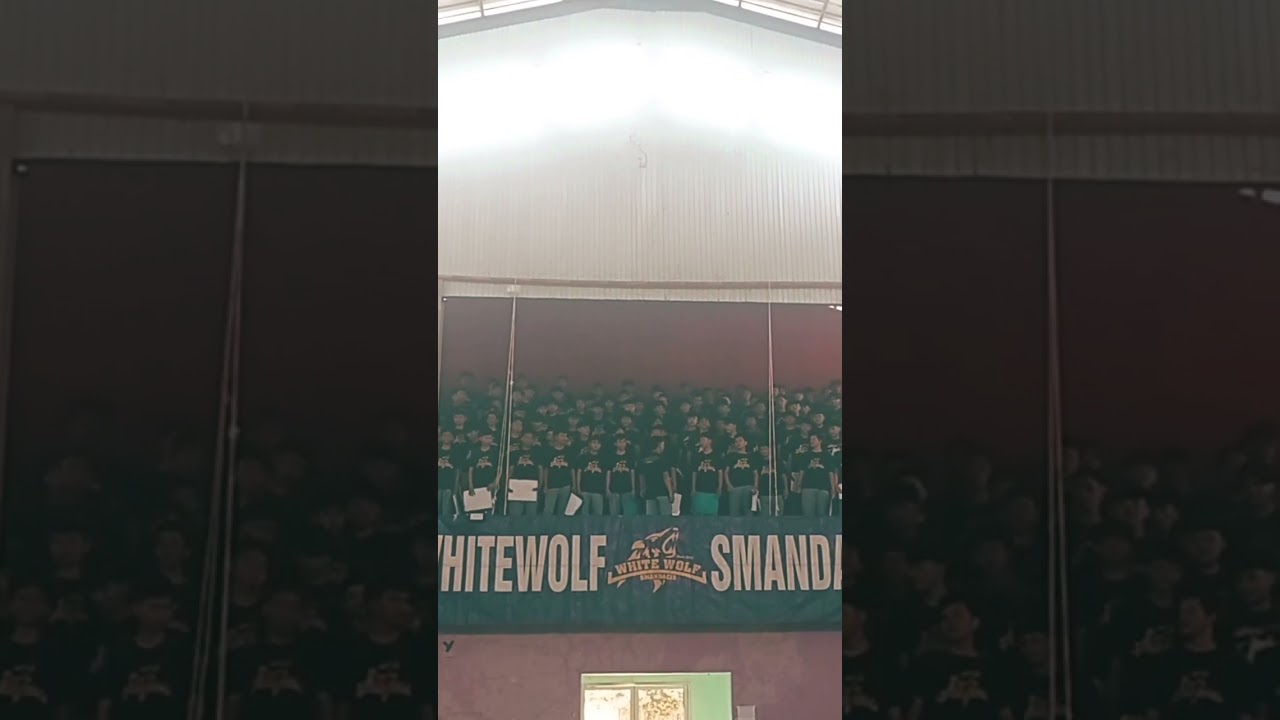 WHITEWOLF SMANDACIS 🔥🔥