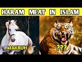 5 Animals Meat Haram To Eat In Islam