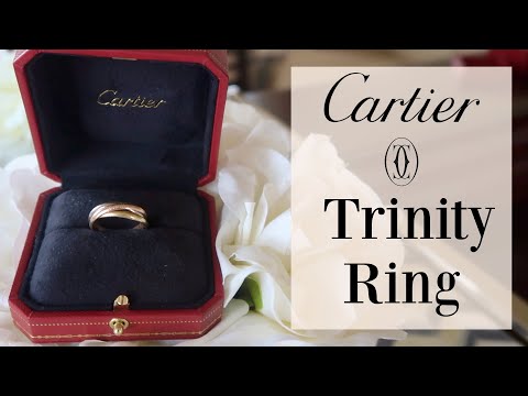 Rare Cartier Santos Tiger Eye Rose Gold Men's Ring at 1stDibs | cartier  mens rings, cartier men ring, cartier pinky ring mens