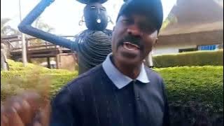 Pakacha - Albert Shehi