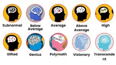 Every Level of Human Intelligence Explained