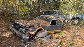 Does It Still Go Beep Beep?