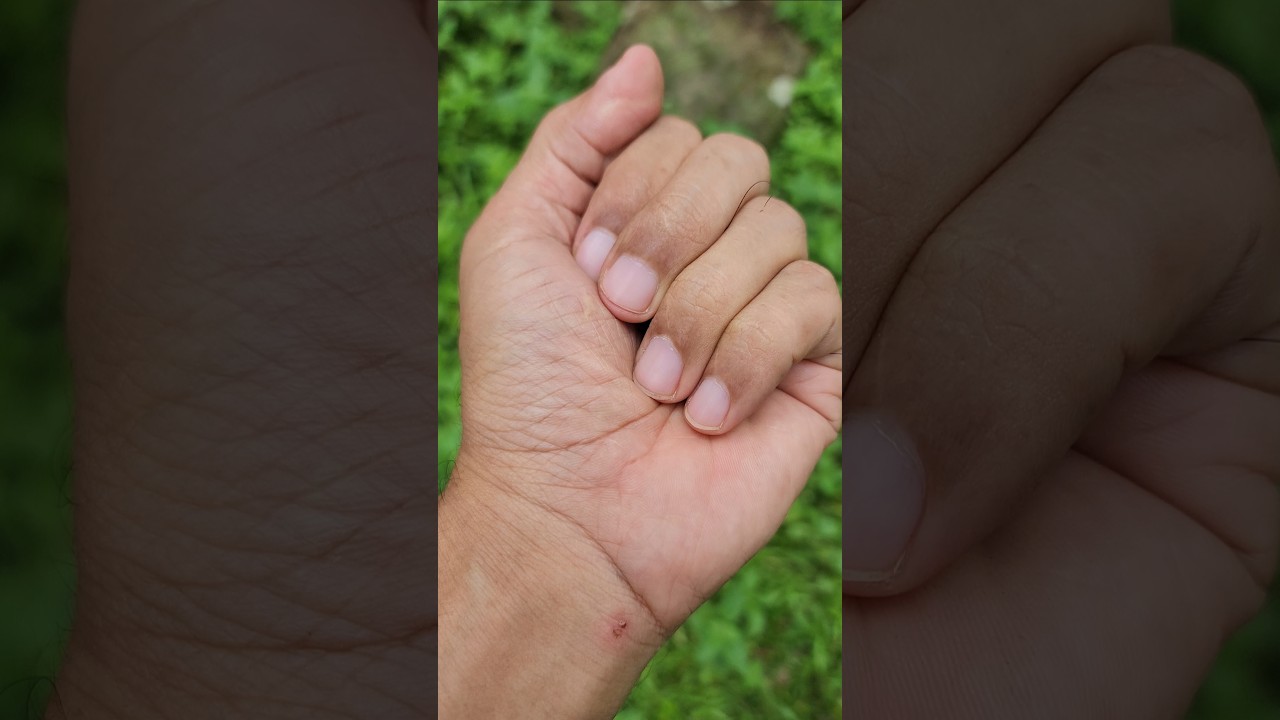 super hero inside makes you surprised 😮 