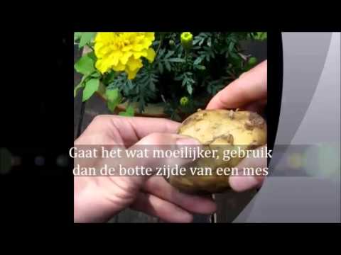 Video: Hoe Populaire Groentesnacks Te Bereiden: Uienringen En Aardappelen In Landelijke Stijl