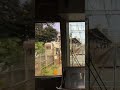 あぶねえ客に爆音警笛！！！