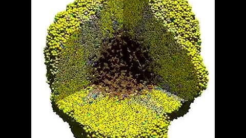 3-D PhysiCell simulation of a heterogeneous tumor
