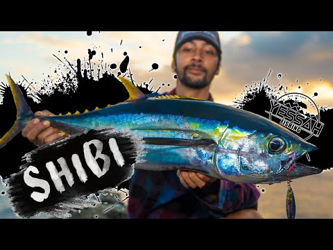 (Shibi's) Drone fishing for tuna -Drone jigging techniques | Big Island Hawaii Drone Fishing|