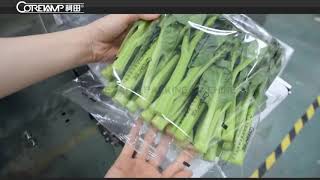 Automatic vegetable flow packing machine with breath hole punching device