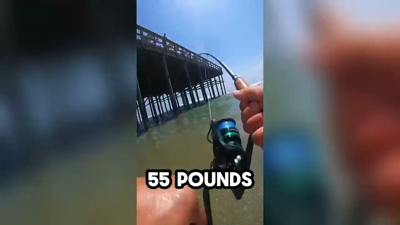 Kapstan Elite Saltwater Spinning Reel