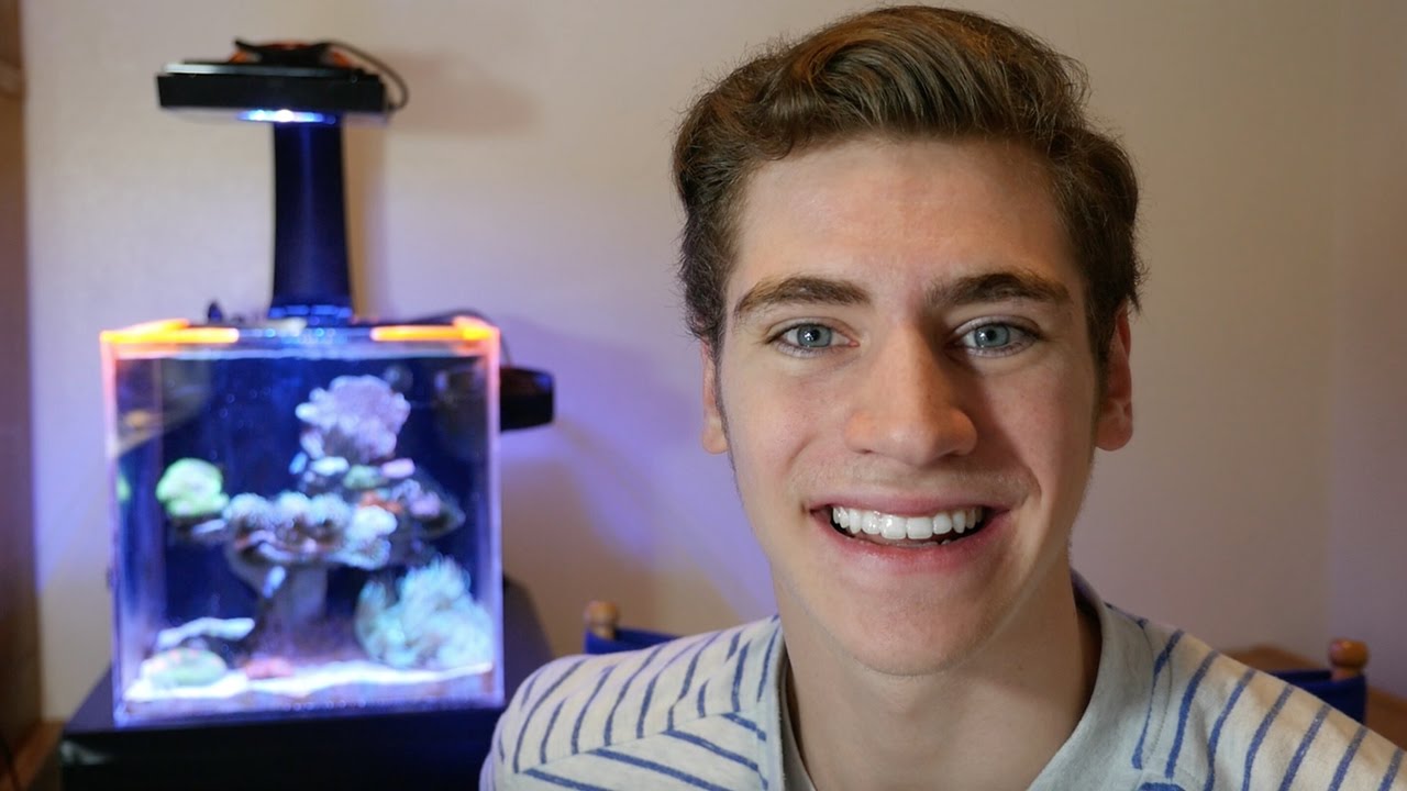 CoralFish12g - Aquarium Tuber Tag Challenge - ANSWERS YOU MAY NOT EXPECT? -  YouTube