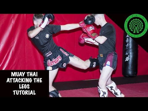 Muay Thai Attacking the Legs Tutorial