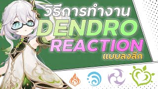 ปฏิกริยาธาตุไม้ แบบลงลึก! | Elemental Gauge | Genshin Impact