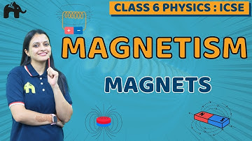 Magnetism Class 6 ICSE Physics | Selina Chapter 6 | Magnets