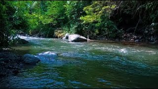 Relaxing river sounds for sleeping healing meditation soothing study