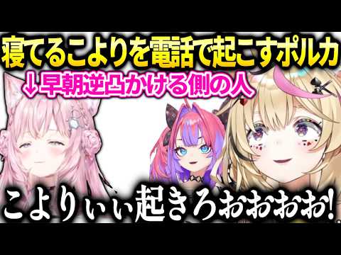 こより早朝逆凸に寝坊して逆にポルカに起こされてしまう【博衣こより/ホロライブ】