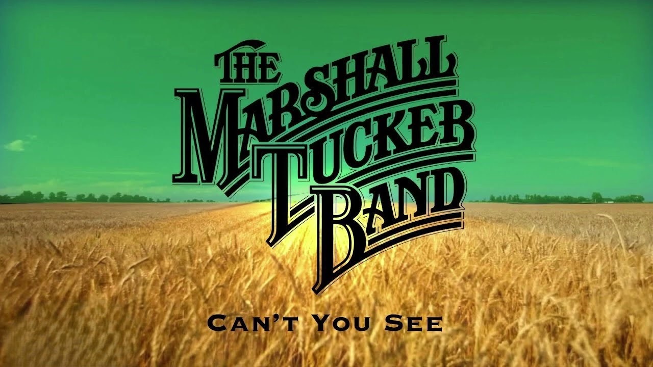 CAN'T YOU SEE BACKING TRACK FOR LEAD GUITAR