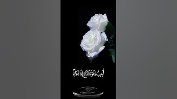 صباح الخير 🤍حالات واتس اب مقاطع قصيره🤍قران كريم سورة البقره وإذا سألك عبادي عني فأني قريب🤍بدون حقوق