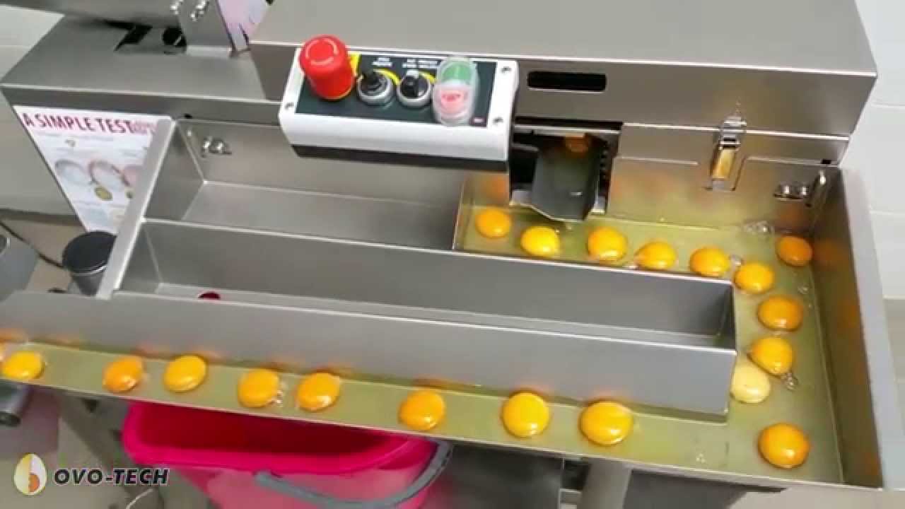 Single row egg breaker RZ—1, Wybijarka jednorzędowa RZ—1 by OVOTECH