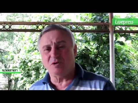 დევნილები არჩევნებზე