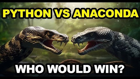 Anaconda vs Python - Who Would Win? - Animal Fight