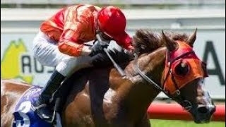 Horse Racing 3D. Gameplay💝 screenshot 3