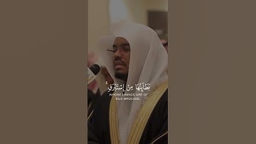 فِيهِمَا عَيْنَانِ تَجْرِيَانِ - القارئ ياسر الدوسري