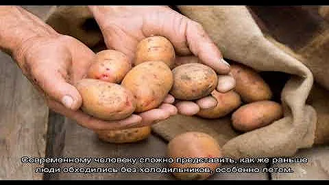Как люди в старину обходились без холодильника