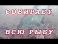 ПРИКОРМКА! Всю рыбу Собирает!  Простая и Результативная ПРИВАДА!