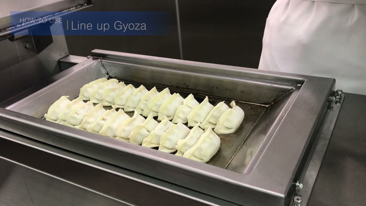 Gyoza Electric Automatic Cooker Maruzen YouTube