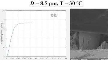 Microcompression In Situ SEM testing of Tungsten Micro-Architectured Coatings