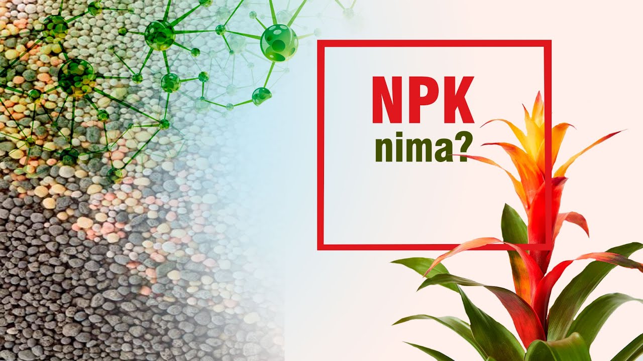 N P K nima?