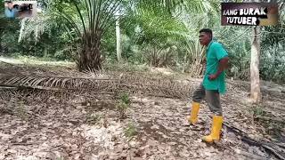 Flm komedi Aceh 2020..Burak v basri