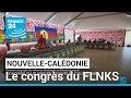 En nouvellecaldonie le congrs du flnks souvre samedi  france 24