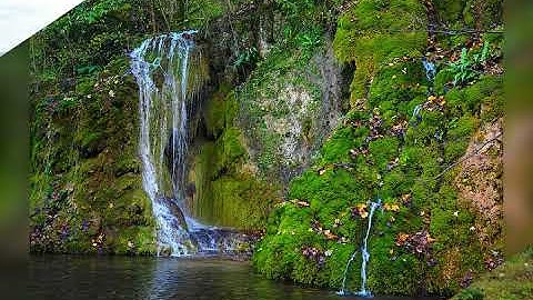 سورة ال عمران للشيخ عبد الودود حنيف Surat Al Imran, by Sheikh Abdul Wadud Hanif