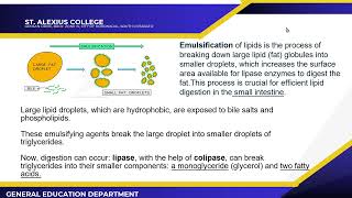Lipids   Part 2