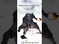 Inspirational Instrumental Ninja 🥠🏠Style Inspirational Instrumental Ninja 🥠🏠Style