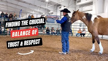 D/C  FIND THE CRUCIAL BALANCE Of TRUST & RESPECT IN YOUR HORSE  🐎  Part 1 of 4  |  Scout