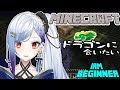 【マインクラフト】🔰初心者の冒険!!!ネザー洗礼を受けたおなごの再出発🏃💨【#個人Vtuber】#初心者 #minecraft