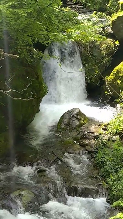 Хайдушки водопади, Берковица #waterfall - YouTube