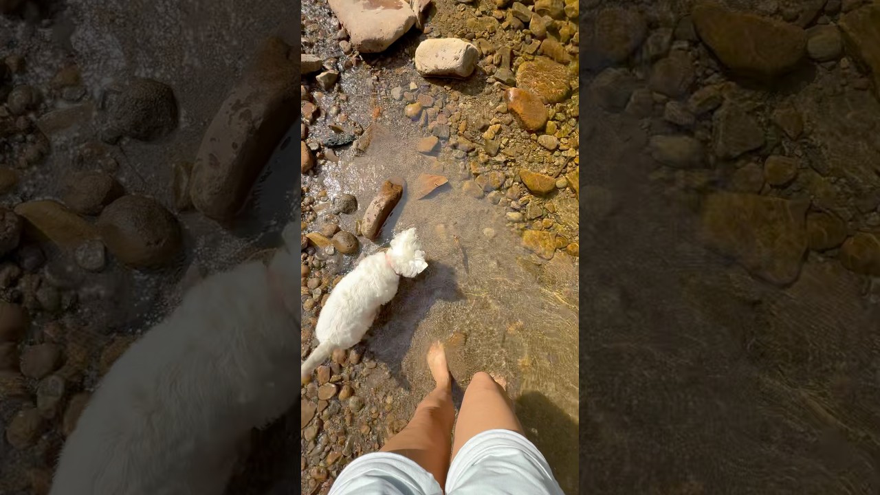 Płynąca rzeka, bose stopy, wierny pies i cisza, której dziś tak brakuje. 🌿