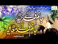 Top trending kalam  haider mola mery rehbar muaviya  hafiz waseem muaviya