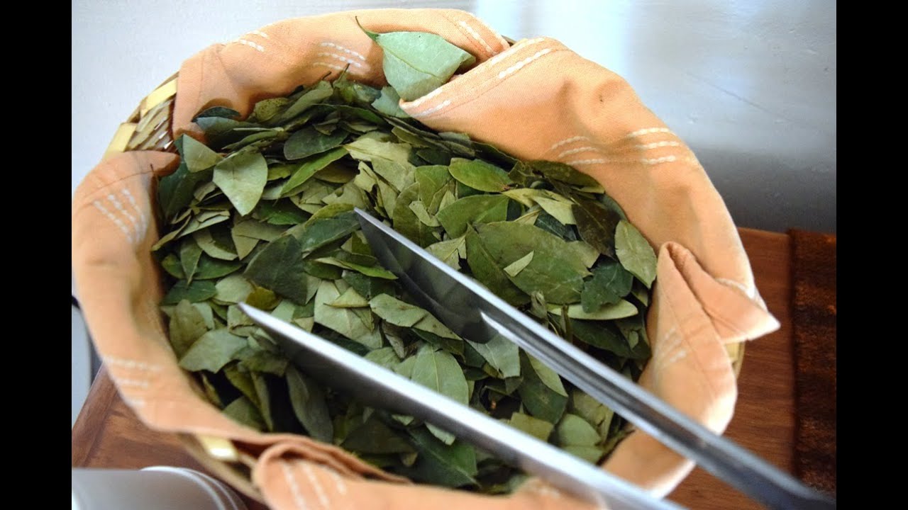 Eating coca leaves upon arriving to Cuzco Peru 2015 YouTube