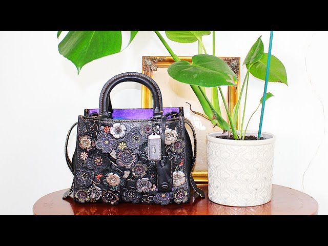 coach rogue 25 tea rose