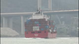Container Ship《AMOUREUX》Crossing Tsing Ma Bridge 20250404