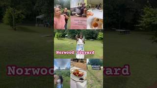 Norwood Vinyard intro clip