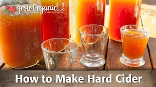 How to Make Your Own Organic Hard Cider