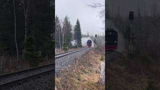 Dampfend durch den Nieselregen #locomotive #steamtrain #fyp #steampower #explorepage #germany