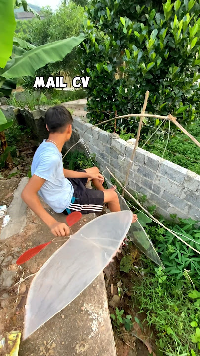 Little Quy had his kite broken by his father | MAIL CV